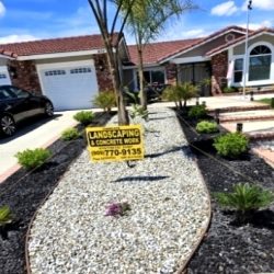 Decorative Stone with Shrubs