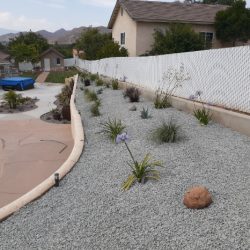 Backyard Delight with Rocks